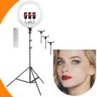 Iluminador Ring Light led luz Profissional 45w Tripé Grande