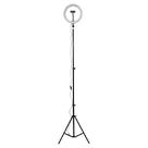 Iluminador Ring Light Portátil 10" Spectrum SP26 LED Com Tripé de 2mts