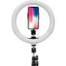 Iluminador ring light spectrum sp-26 led portatil mesa ( 2g- 326 )