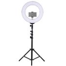 Iluminador Ring Light Youtuber 10 Polegadas 26Cm Led Tripé - Mc