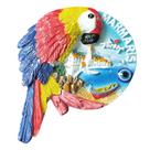 Ímã de geladeira 3D Marmaris Parrot Resin Decorativo 6.8x8.4cm
