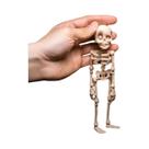 Imã De Geladeira Em Forma De Crânio Magnético, Decoração Engraçada Para Halloween, Acessório Para Imã De Geladeira Em Forma De Crânio Magnético, Decoração Engraçada Para Halloween, Acessório Para