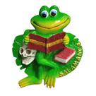 Ímã de geladeira feito à mão em resina 3D Salamancas 3D Frog & Skull