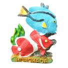 Imã de geladeira, resina 3D, palhaço, peixe, lembrança de Hurghada, Egito Imã de geladeira, resina 3D, palhaço, peixe, lembrança de Hurghada, Egito