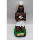 Imagem Caboclo Pena Branca Ajoelhado Escultura Gesso 20 Cm