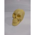 Imagem Cranio Creme Escultura Estatua Gesso 20 Cm