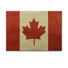 Imagem de arte de parede de pôster, bandeira canadense, arte de anime, 51,5x36cm