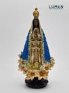 Imagem De Nossa Senhora Aparecida Com Flores