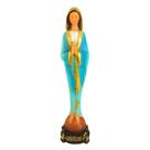 Imagem de nossa senhora da saúde