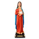 Imagem de Nossa Senhora da Saúde de Borracha Inquebrável 30 cm Imagem Católica Estatueta
