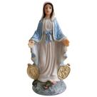Imagem de Nossa Senhora das Graças em Resina 14 cm