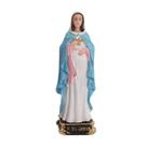 Imagem de Nossa Senhora Grávida em Resina 15cm