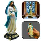 Imagem De Nossa Senhora Maria Grávida Resina Pequena 12 Cm