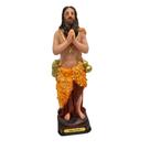 Imagem de santo onofre em pé Imagem de santo onofre em pé