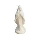 Imagem Nossa Senhora 10 cm Resina 3D