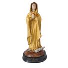 Imagem Nossa Senhora da Rosa Mística com oração 12cm Resina