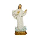 Imagem Nossa Senhora Rainha da Paz em Resina