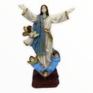 Imagem Nossa Sra da Assunção Escultura Resina 12cm