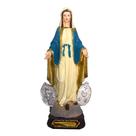 Imagem Sacra Em Resina De Nossa Senhora Das Graças Com Medalha Milagrosa - Imporiente