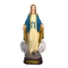 Imagem Sacra Em Resina De Nossa Senhora Das Graças Com Medalha Milagrosa