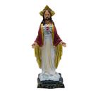 Imagem Sagrado Coração de Jesus Resina 20 Cm