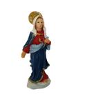 Imagem sagrado coração de maria