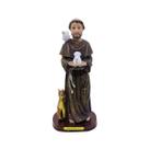 Imagem São Francisco 21cm - Enfeite Resina