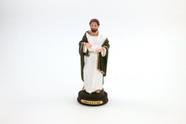 Imagem São Lucas Resina 14 cm