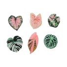 Ímãs Magnéticos De Plantas Tropicais Kawaii (6 Peças): Begônia E Monstera Para Geladeira E Quadro