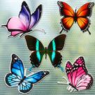 Ímãs protetores de tela Butterfly Eaasty 10 peças