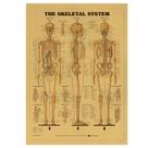 Impressão artística de parede vintage de pôster Skeleton Retro 42x29,5 cm Impressão artística de parede vintage de pôster Skeleton Retro 42x29,5 cm