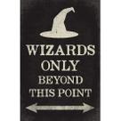 Impressão de pôster da coleção Keep Calm Wizards Only 30x45cm Impressão de pôster da coleção Keep Calm Wizards Only 30x45cm