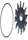 Impulsor Sierra International 18-3060 para motores Ford Impulsor Sierra International 18-3060 para motores Ford