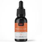 Imunocélula Vitamina D3 2000ui K2 Mk7 20mcg E Vitaminas G9 Suplementos