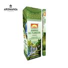 Incenso Aromas da Floresta