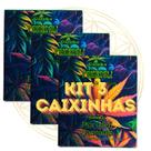 Incenso Goloka Cone Linha Psychodelic Herbal - 3 Caixinhas