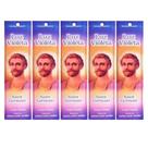 Incenso Saint Germain Transmutação Ananda Bastões de Longa Duração - Kit 05 Unidades
