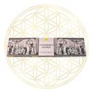 Incenso Sreevani Vareta Premium Chandan