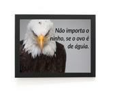 Incrivel quadro motivacional com frase aguia da sabedoria Incrivel quadro motivacional com frase aguia da sabedoria