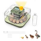Incubadora automática para 12 ovos com display digital de temperatura e umidade Incubadora automática para 12 ovos com display digital de temperatura e umidade