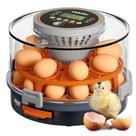 Incubadora de Huevos OKKÖBI 12-20 Huevos con Giro Automático y Control de Humedad