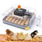 Incubadora de Ovos Cheeglu para 48 Ovos com Viragem Automática e Controle de Umidade Incubadora de Ovos Cheeglu para 48 Ovos com Viragem Automática e Controle de Umidade