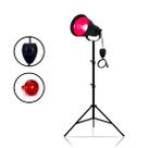Infravermelho para Fisioterapia Lâmpada 250w com Dimmer