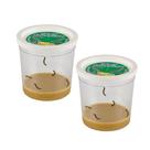 Insect Lore Refil de 2 copos com lagartas e alimento, 10 unidades Insect Lore Refil de 2 copos com lagartas e alimento, 10 unidades