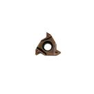 Inserto de rosca interna rt.16 01 n ag55pb ybg 205