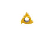 Inserto Pastilha Rosca Externa R166 22 Zcc 3.00 A 6.00mm
