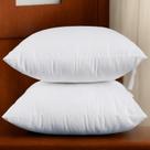 Insertos de almofada WavingSpark 45 x 45 cm Conjunto de 2 Insertos de almofada WavingSpark 45 x 45 cm Conjunto de 2