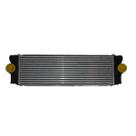 Intercooler - Sprinter 2012 A 2015 - Pc600054