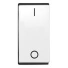 Interruptor Bipolar Simples 10 Ampères - LG010B - PIAL