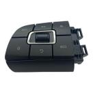 Interruptor Comando Volante Fm,Fh4 LE Pettenuzzo 22629271